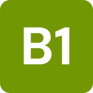 Vitamina B1 (Tiamina)