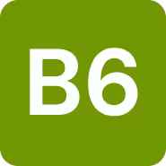 Vitamina B6 (Piridoxina)