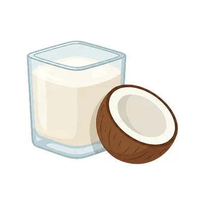 Base com Leite de Coco